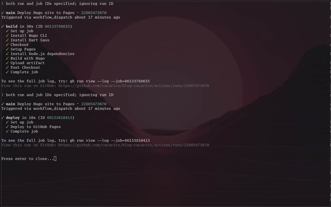 Output do workflow run
